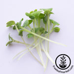 cut green cabbage micros