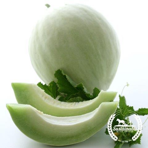 Organic Green Flesh Honeydew Melon - 1 G ~30 Seeds - Heirloom, Gardeni