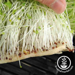 Micro-Mats Hydroponic Grow Pads in action