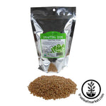 Wheat Seed (for Wheatgrass): Hard Red - Organic 1 lb