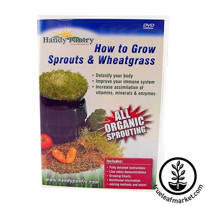 How to Grow Sprouts and Wheatgrass DVD by handy pantry