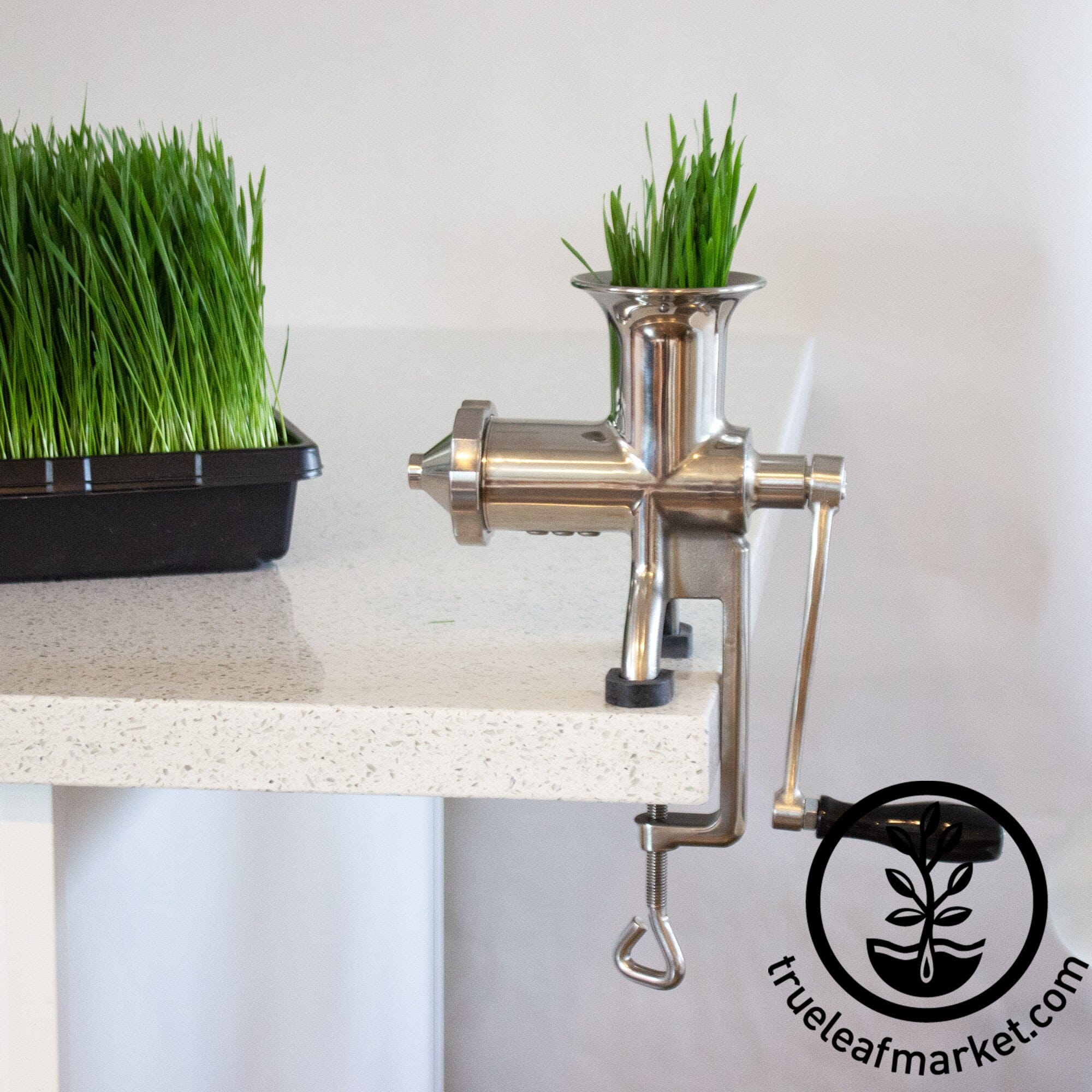 Wheatgrass hurricane juicer