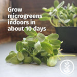 Sectional Hydroponic Microgreens Starter Kit