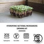 Sectional Hydroponic Microgreens Starter Kit