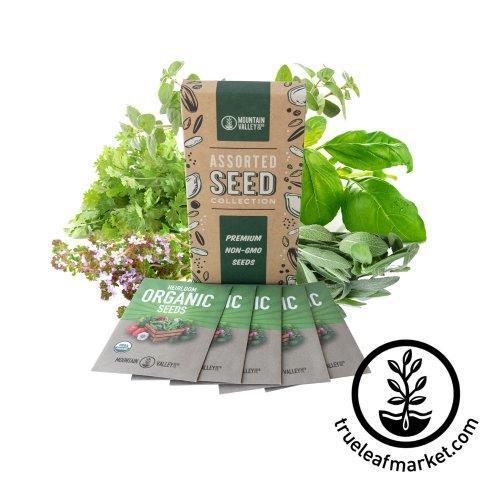 ORGANIC SPICES Starter Set USDA Certified 28 Spice Set for Herbs
