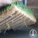 Jute Microgreens Grow Mats - 10x10 close up of jute mat