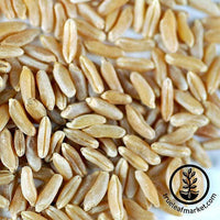 Non-GMO Organic Kamut Ancient Egypt Grain