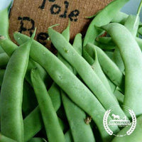 Organic Kentucky Wonder Pole Bean Seeds