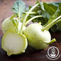 Kohlrabi Early White Vienna Seed