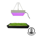 50 Watt LED Grow Light Panel - Plant Grow Lite