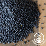 Lentil Sprouting Seeds - Black Unhulled (Organic)