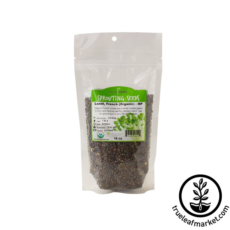 French Lentil Sprouting Seeds Organic Non Gmo Grow Lentil Sprout