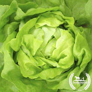Need help finding the best lettuce seeds for your needs? Take this short quiz and we will help you choose the best lettuce seeds. Be sure to hover over the <tool tip image> for important notes on each option.