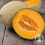 Need help finding the best melon seeds for your needs? Take this short quiz and we will help you choose the best melon seeds. Be sure to hover over the <tool tip image> for important notes on each option.