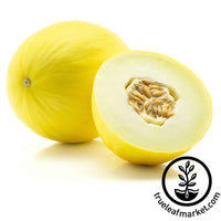 golden delicious melon cantaloupe