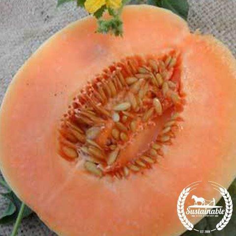 Orange-Fleshed Honeydew Melon Information and Facts