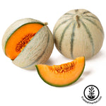 honey rock melon