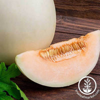 Orange-Fleshed Honeydew Melon Information and Facts