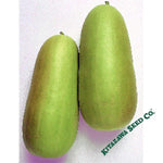 Pickling Melon Seeds - Oshiro Uri Numane