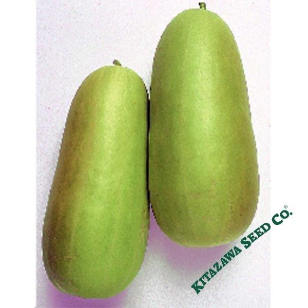 Pickling Melon Seeds - Oshiro Uri Numane
