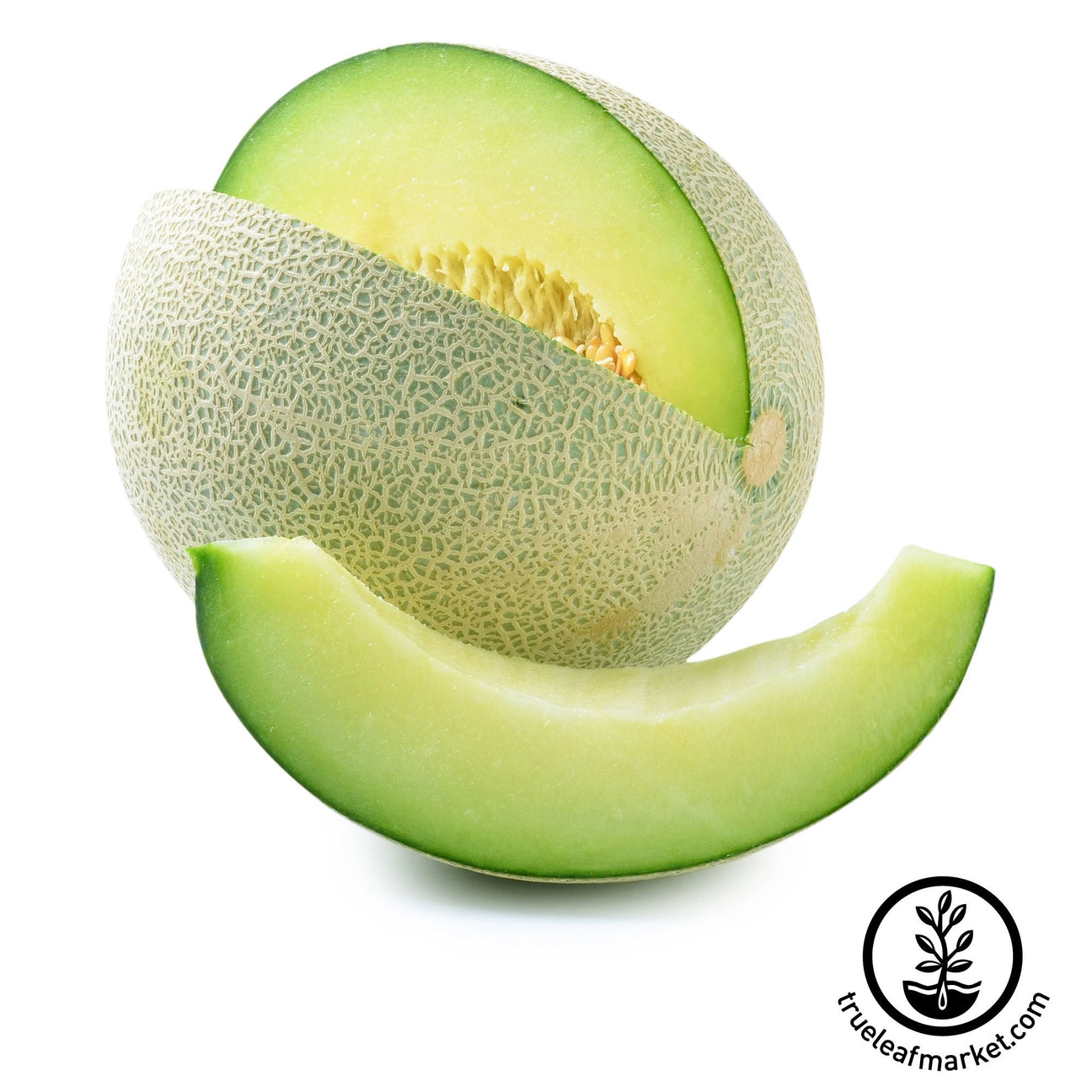 Melon Seeds Rocky Ford Green Flesh NonGMO Heirloom Garden Seed