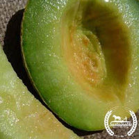 Organic Rocky Ford Green Flesh Melon Seeds