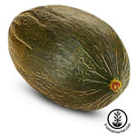 Tendral Verde Tardif Melon