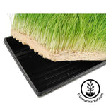 Micro-Mats Hydroponic Grow Pads for soil free growing