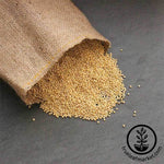 Whole Millet (Organic) - Bulk Grains & Foods