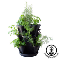 https://cdn.shopify.com/s/files/1/2016/2681/products/mini-garden-stacker-black-w-herbs-wm_eb033c8a-dddd-43fa-bb97-d0714dceecd7.jpg?v=1563683014?width=200&height=200