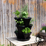 Culinary Herb Garden & Black Garden Stacker Planter