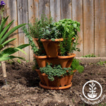 Garden Stacker Planter Culinary Herb Garden Kit - Color: Terracotta -  Stackable / Hangable Planter Pot - Indoor / Outdoor - 12 Seed Packs:  Parsley