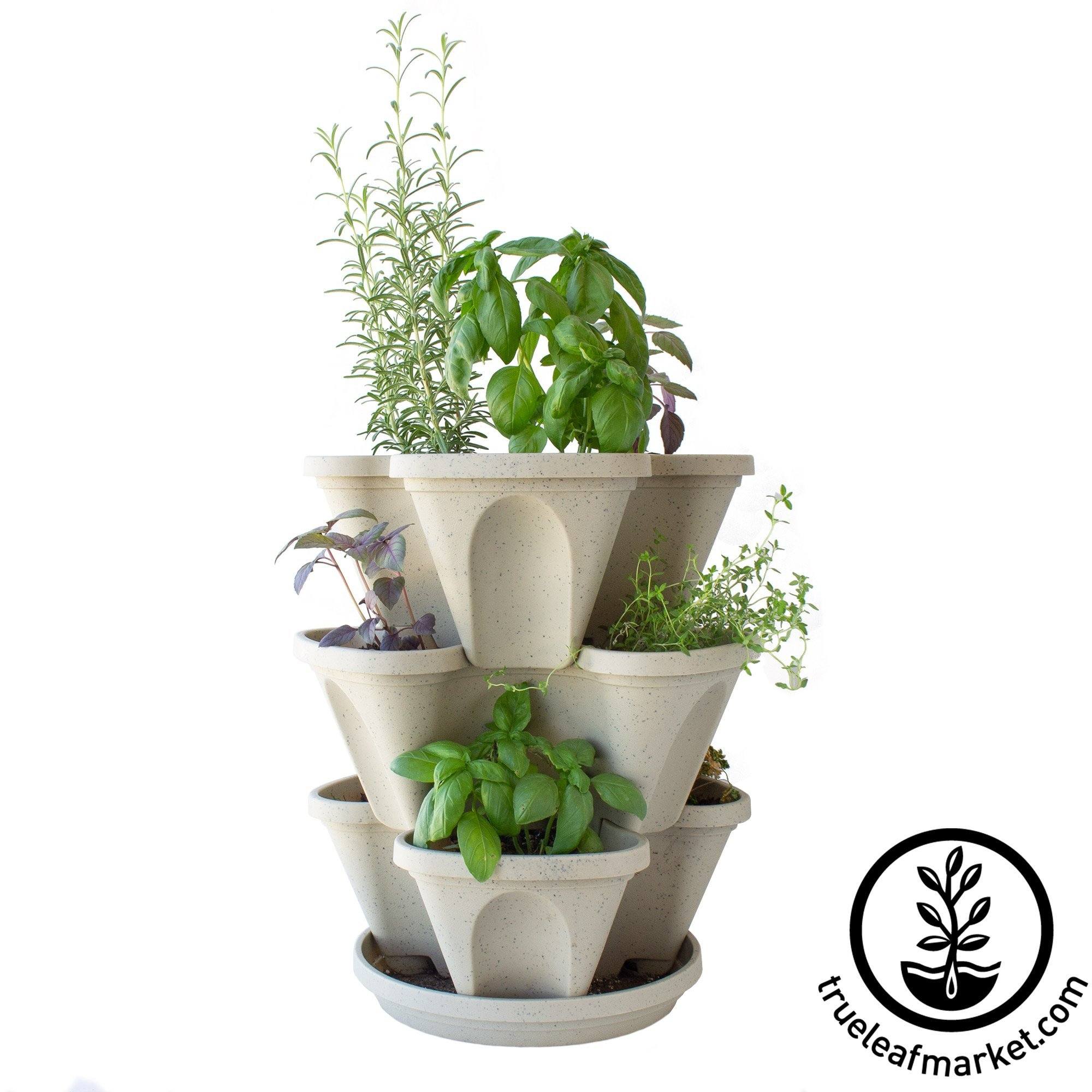Garden Stacker Planter Culinary Herb Garden Kit - Color: Terracotta -  Stackable / Hangable Planter Pot - Indoor / Outdoor - 12 Seed Packs:  Parsley
