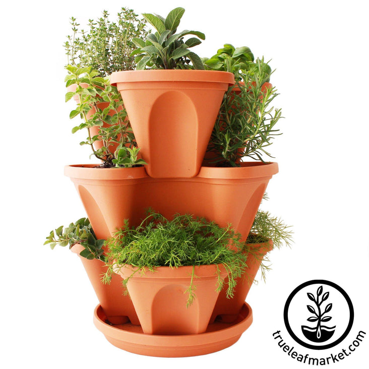 Garden Stacker Planter & Culinary Herb Kit - Stackable & Hangable Herb