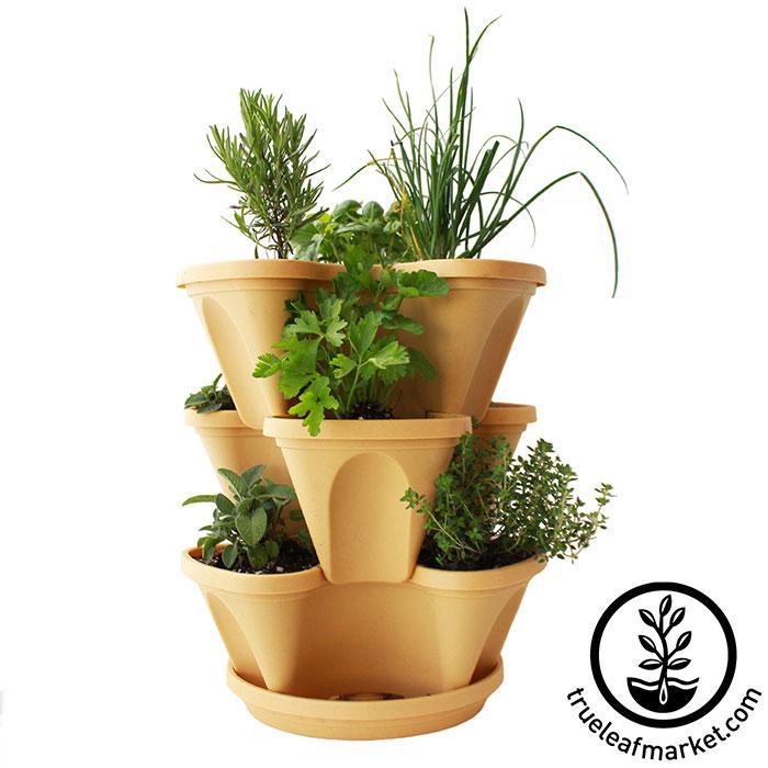 https://cdn.shopify.com/s/files/1/2016/2681/products/mini-garden-stacker-tuscany-plants-wb-wm-sm.jpg?v=1563682870