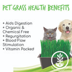 Mini Pet Grass Kit