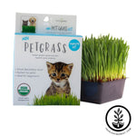 Mini Pet Grass Kit