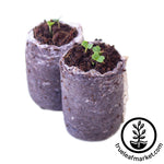 minute soil netted puck with seedlings