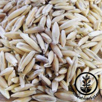 Oat Seeds - Bulk – Mary's Heirloom Seeds