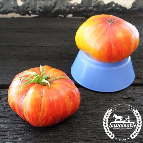 Organic Mr. Stripey Tomato Seeds