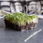 Mustard Seeds - Golden Streak - Microgreens Seeds