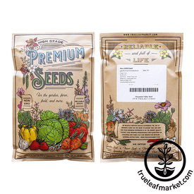 Non-GMO Anise Seeds - Heirloom