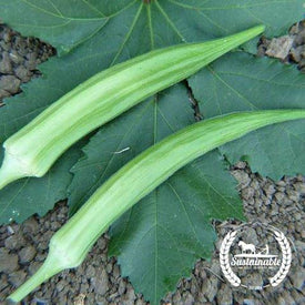 Organic Cows Horn Okra Seeds