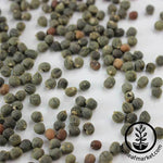 Okra Seeds - Lousiana Green Velvet Close Up