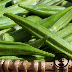 Okra Seeds - Lousiana Green Velvet