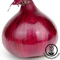 Onion Seeds (Pearl/Pickling) - Crystal White Wax - Ounce, Vegetable Seeds, Eden Brothers