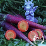 Organic Purple Dragon Carrot Seeds