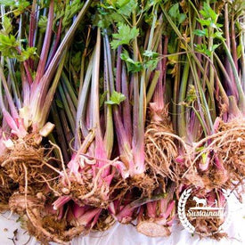 Organic Red Stalk Celery Seeds