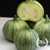 organic-ronde-de-nice-squash-com-wm_b047b66f-d137-47a4-b834-f348743586c0.jpg?v=1654296041