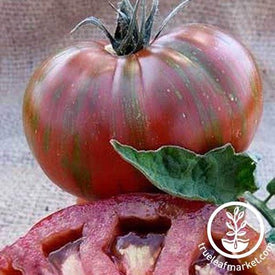 Vintage Wine Tomato Seeds - Non-GMO